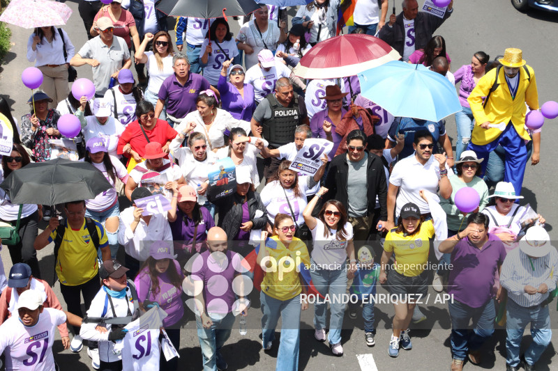 INICIO CAMPANA SI Y NO