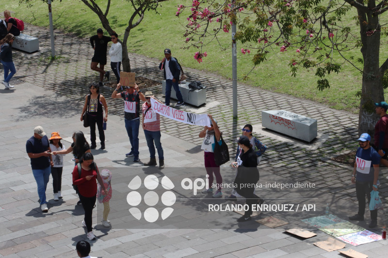 INICIO CAMPANA SI Y NO