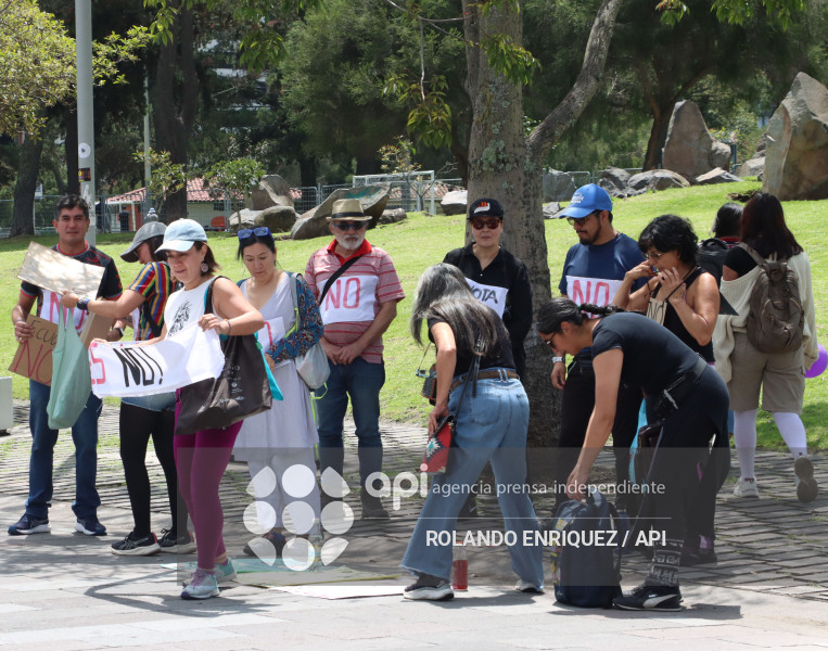 INICIO CAMPANA SI Y NO