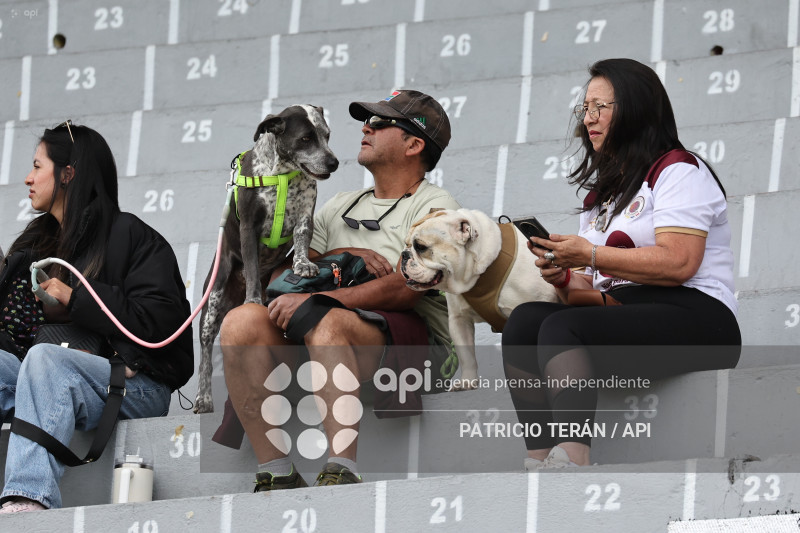 FBL LIGA ECUABET VINOTINTO VS MANTA