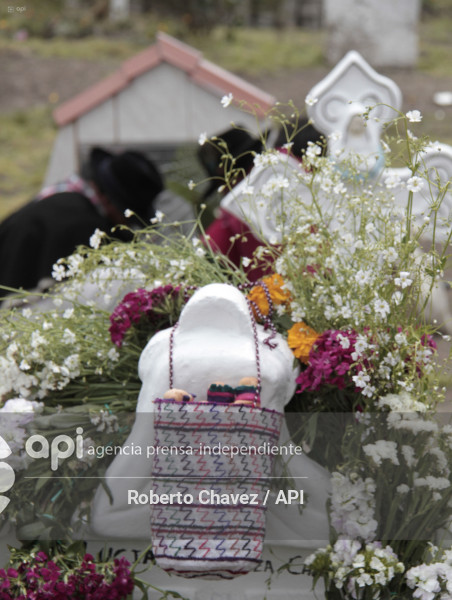 VISITA AUSENTE SALASAKAS