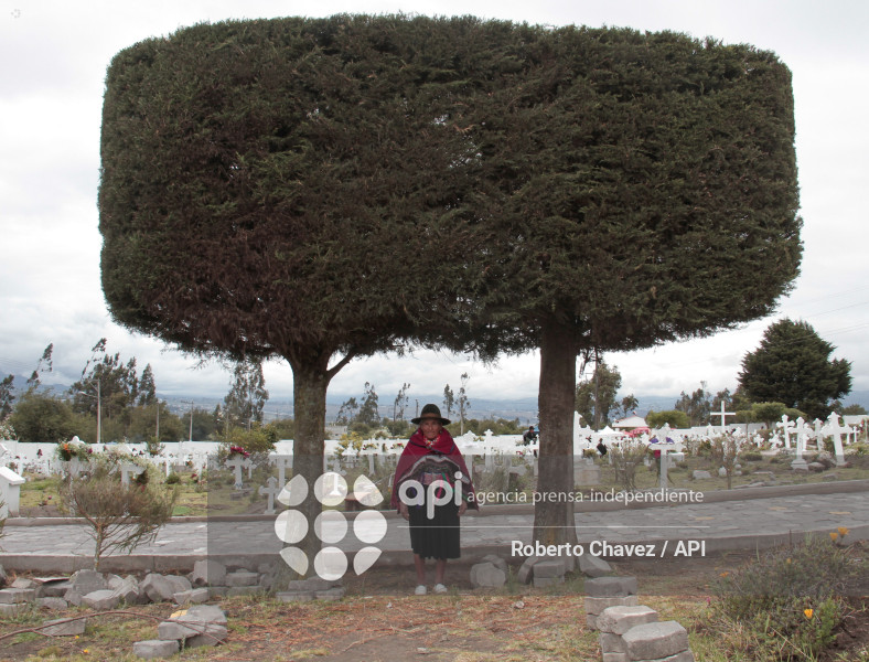 VISITA AUSENTE SALASAKAS
