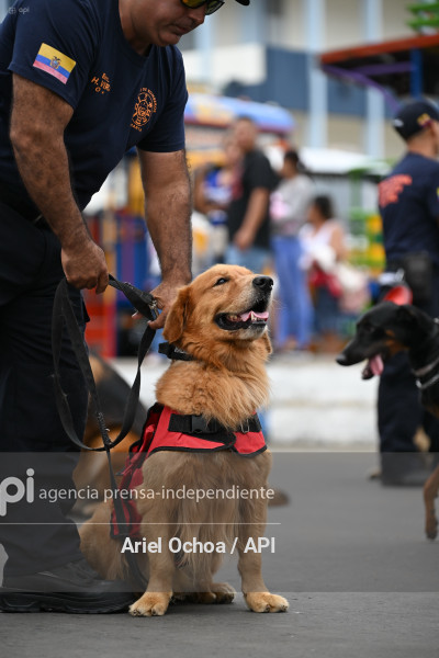 MANTA-DESFILE-CÍVICO