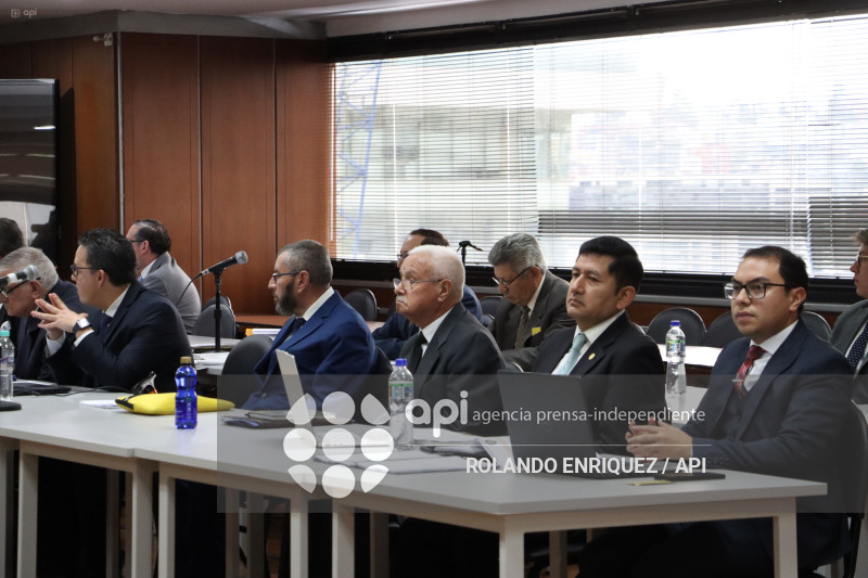 AUDIENCIA LESA HUMANIDAD ALFARO VIVE