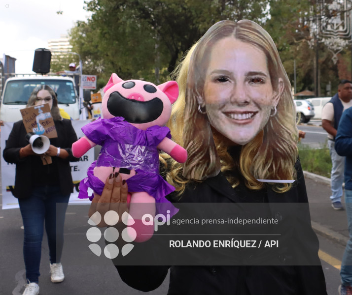 MARCHA ORGANIZACIONES SOCIALES POR EL NO