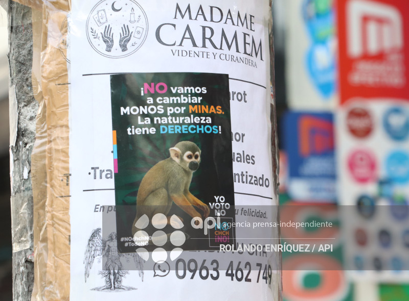 MARCHA ORGANIZACIONES SOCIALES POR EL NO