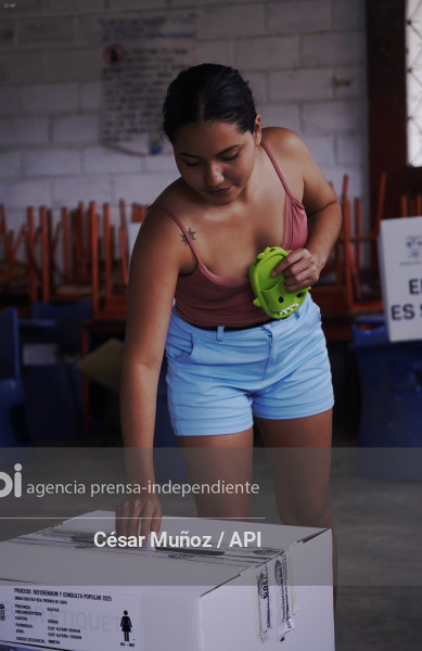 GYE-CONSULTA 2025 VOTO GENERALES