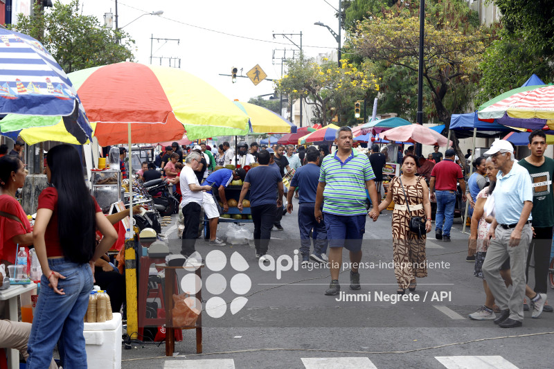 REFERÉNDUM Y CONSULTA POPULAR 2025