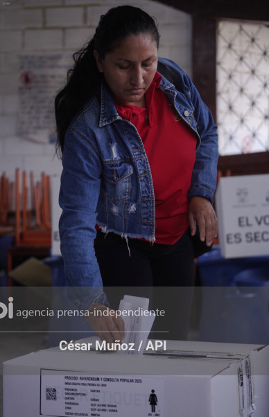 GYE-CONSULTA 2025 VOTO GENERALES