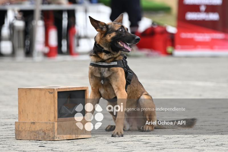 MANTA-POLICIA-EXPLOSIVOS