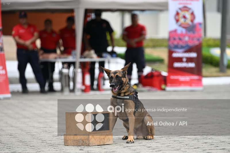 MANTA-POLICIA-EXPLOSIVOS
