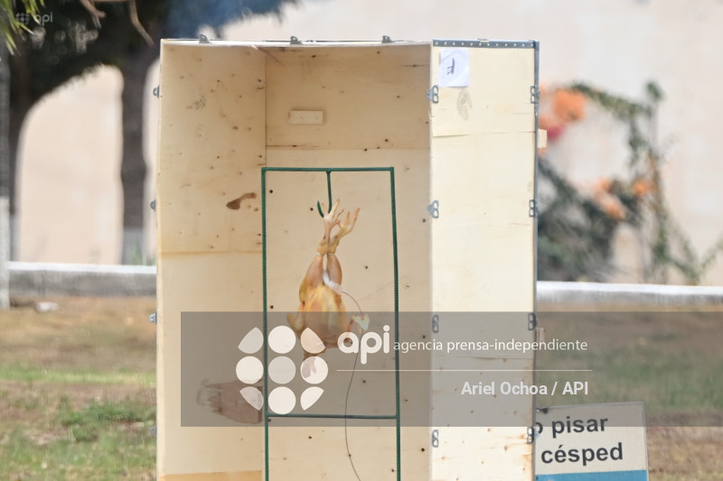 MANTA-POLICIA-EXPLOSIVOS