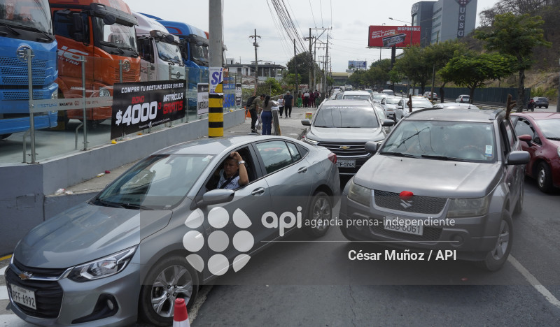 GYE-BLACK FRIDAY CORAL