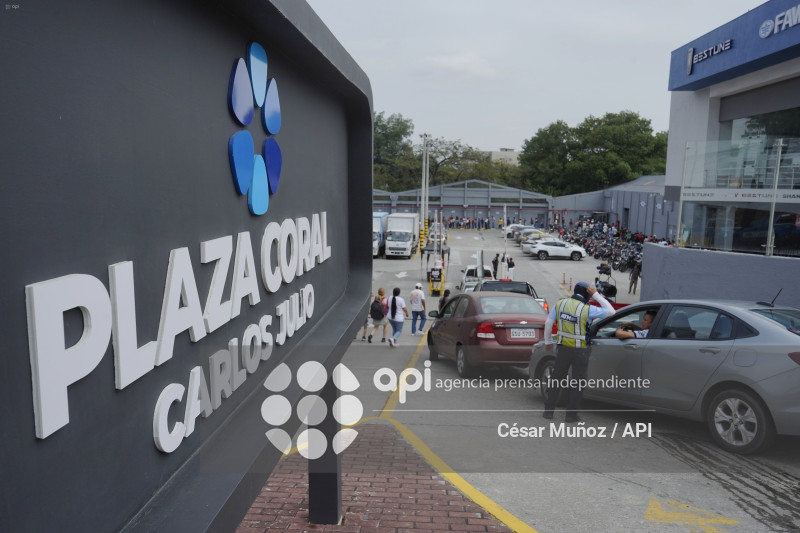 GYE-BLACK FRIDAY CORAL