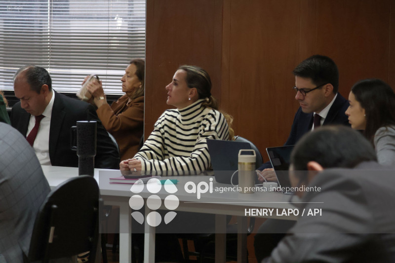 AUDIENCIA CASO SINOHIDRO