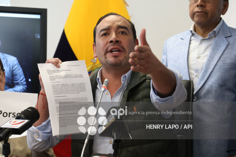 CONTRADICIONES CASO PORCHE