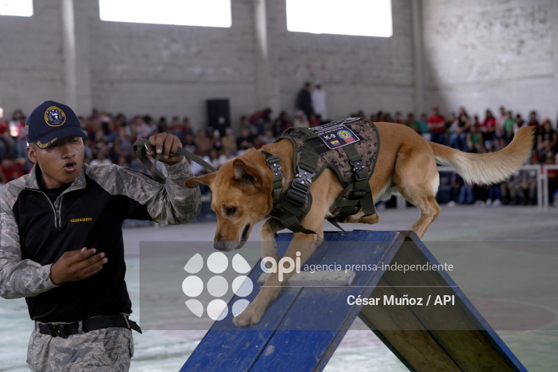 GYE-ALAS PARA LA ALEGRIA