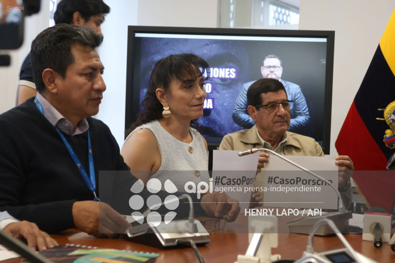 CONTRADICIONES CASO PORCHE