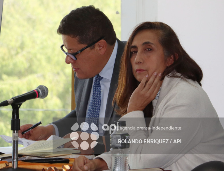 FORMULACION CARGOS TANNYA VARELA