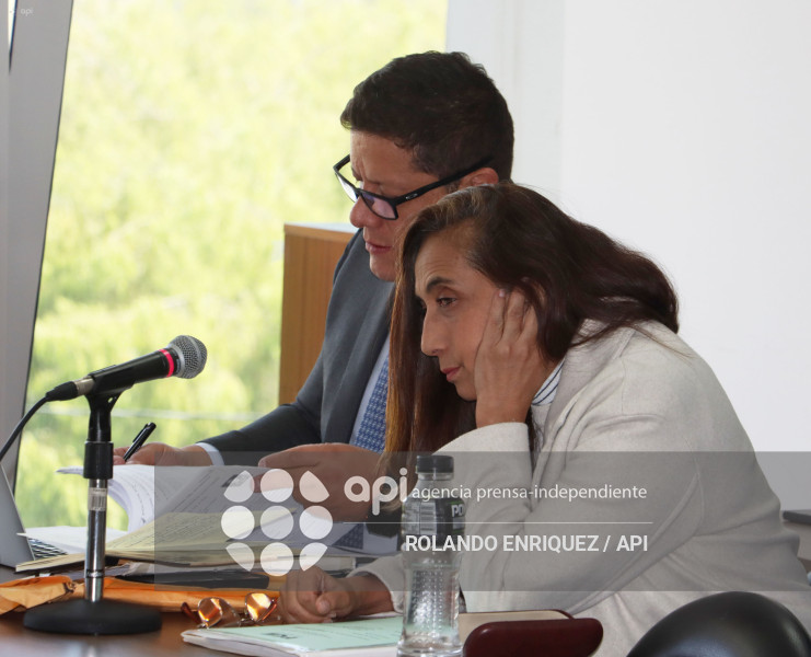 FORMULACION CARGOS TANNYA VARELA