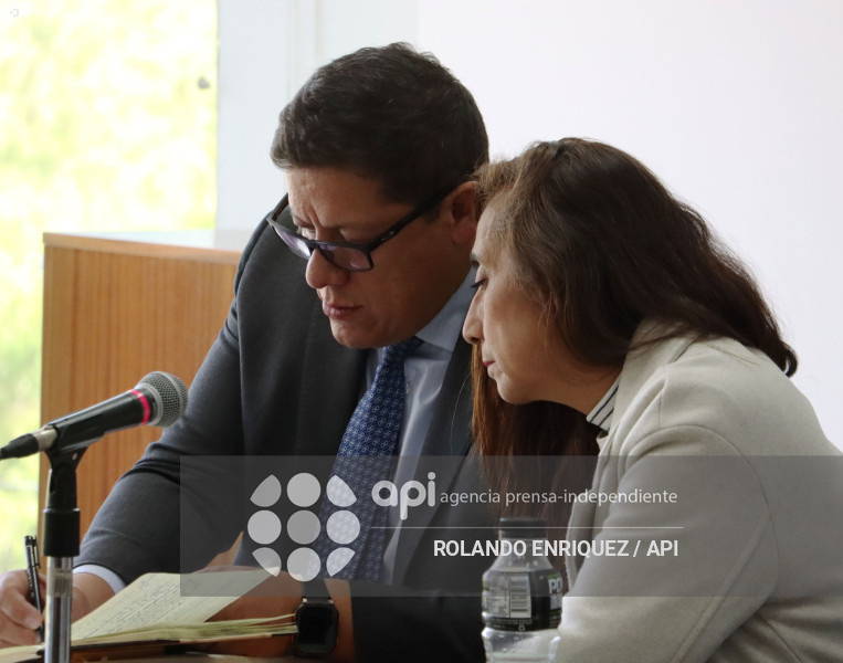 FORMULACION CARGOS TANNYA VARELA