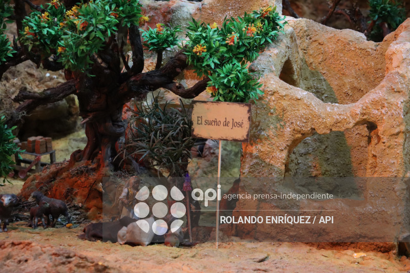 PESEBRE MAS GRANDE DE SUDAMERICA BELEN ENCANTADO