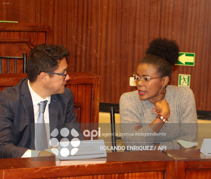 FISCALIZACION JUICIO MARIO GODOY