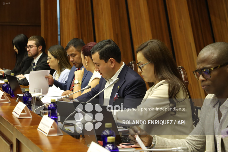 FISCALIZACION JUICIO MARIO GODOY