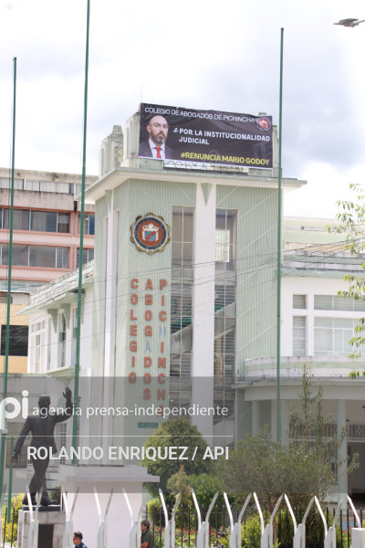 CARTEL CONTRA MARIO GODOY JUDICATURA