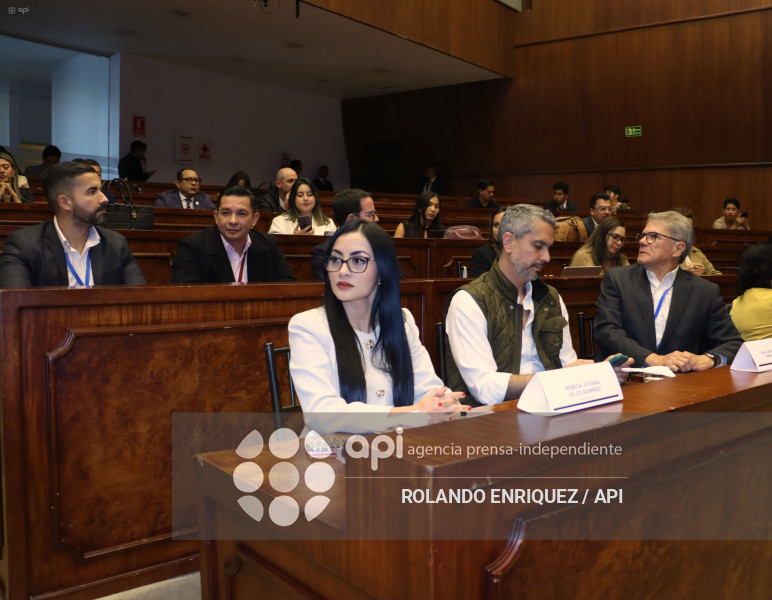 FISCALIZACION JUICIO MARIO GODOY