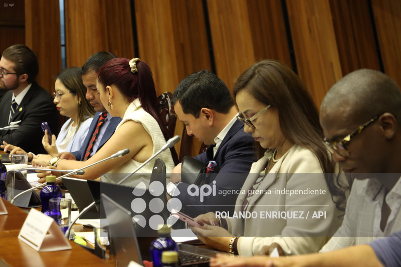 FISCALIZACION JUICIO MARIO GODOY