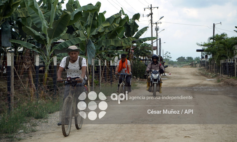 GYE-EMERGENCIA-FUSARIUM R4T