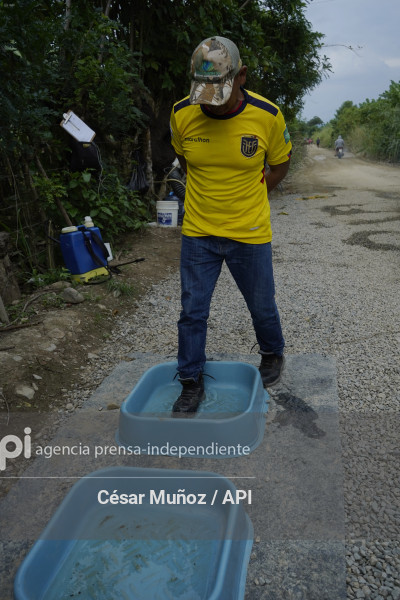 GYE-EMERGENCIA-FUSARIUM R4T