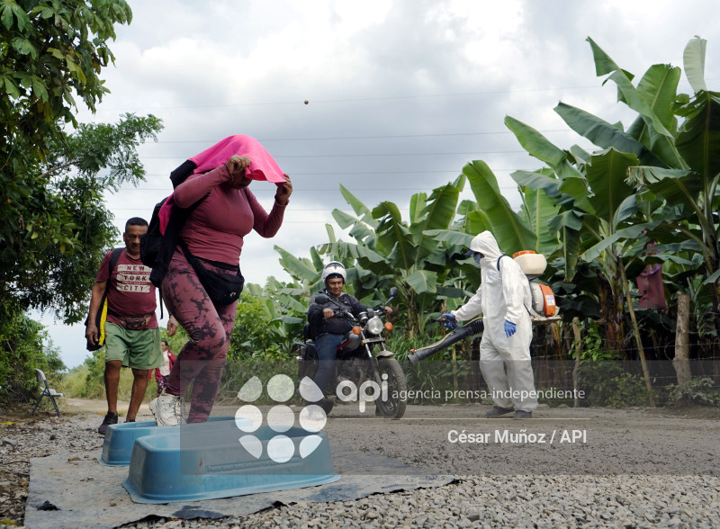 GYE-EMERGENCIA-FUSARIUM R4T