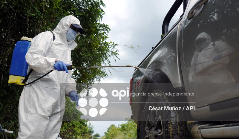 GYE-EMERGENCIA-FUSARIUM R4T