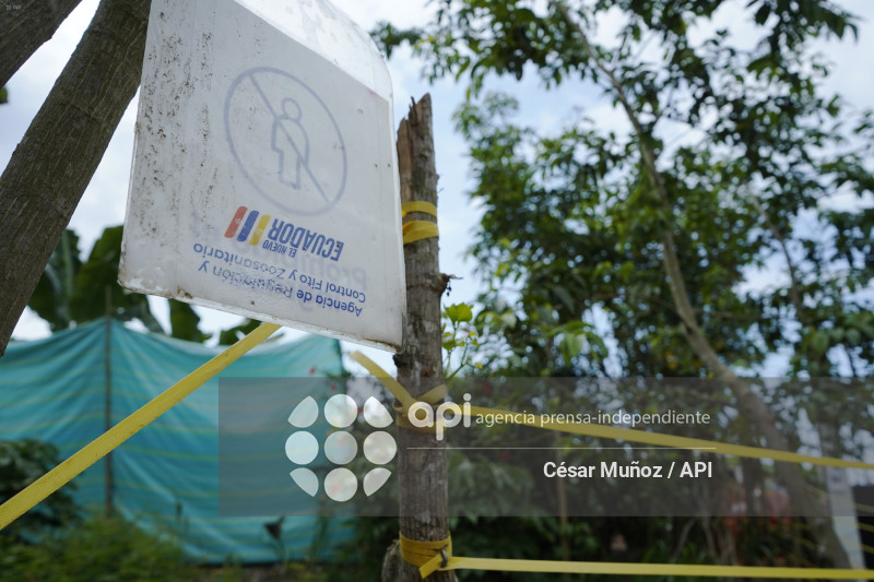 GYE-EMERGENCIA-FUSARIUM R4T