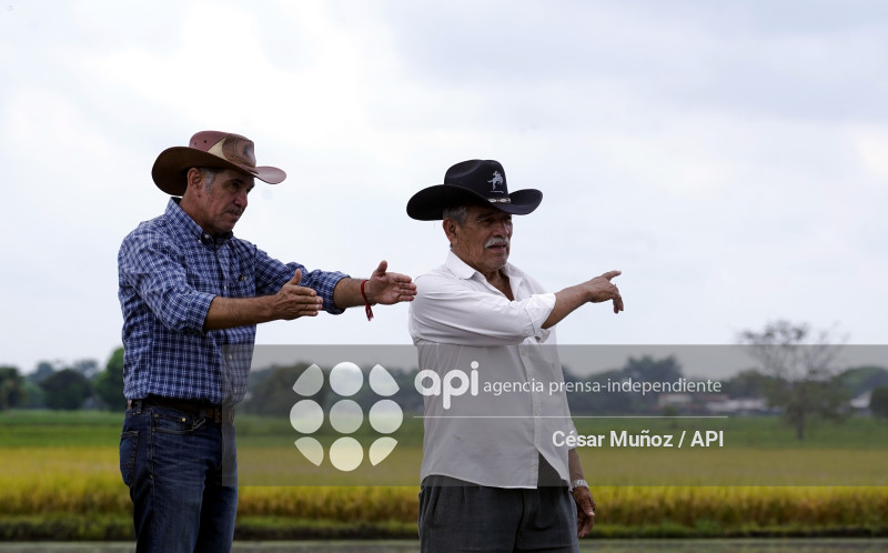 GYE-ARANCEL SECTOR ARROCERO