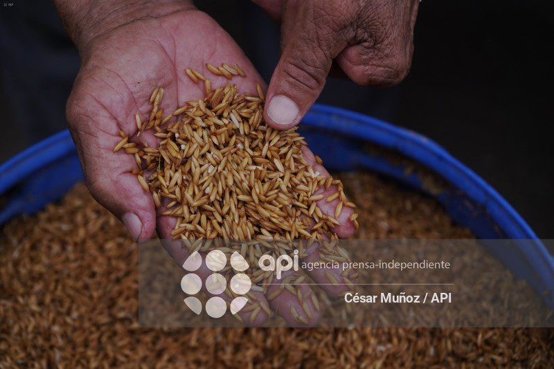 GYE-ARANCEL SECTOR ARROCERO