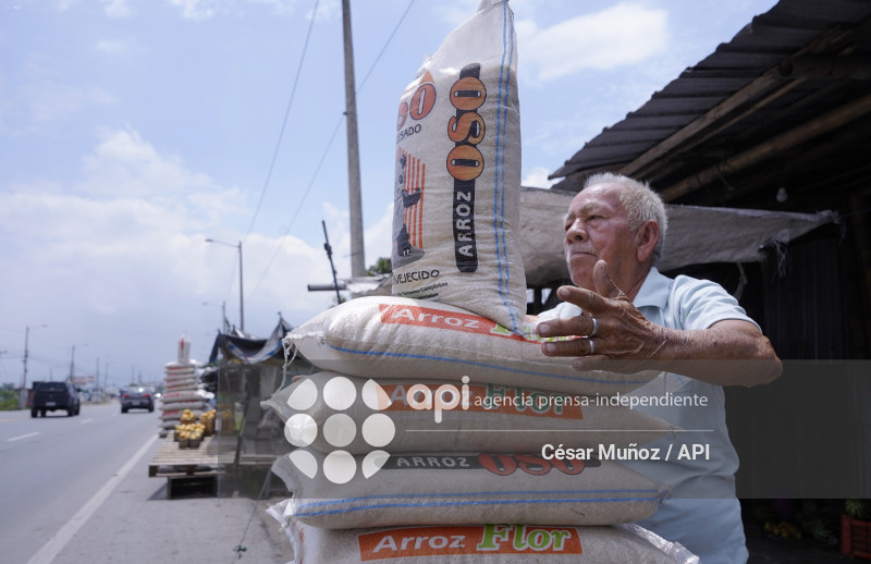 GYE-ARANCEL SECTOR ARROCERO