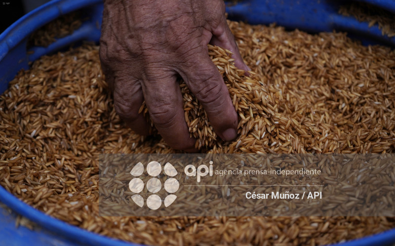 GYE-ARANCEL SECTOR ARROCERO