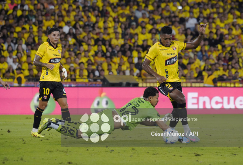 FBL-NOCHE AMARILLA 2026 BSC