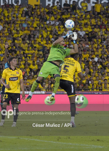 FBL-NOCHE AMARILLA 2026 BSC