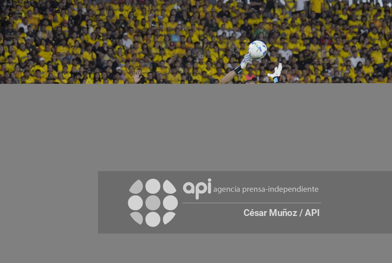 FBL-NOCHE AMARILLA 2026 BSC