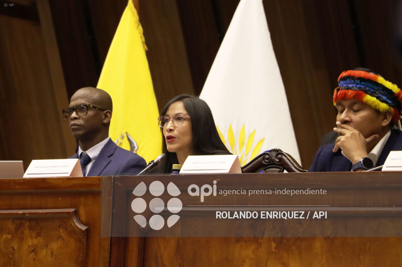 REINBERG COMISION FISCALIZACION