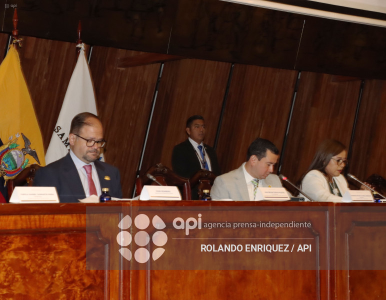 REINBERG COMISION FISCALIZACION