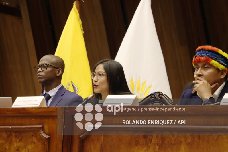 REINBERG COMISION FISCALIZACION