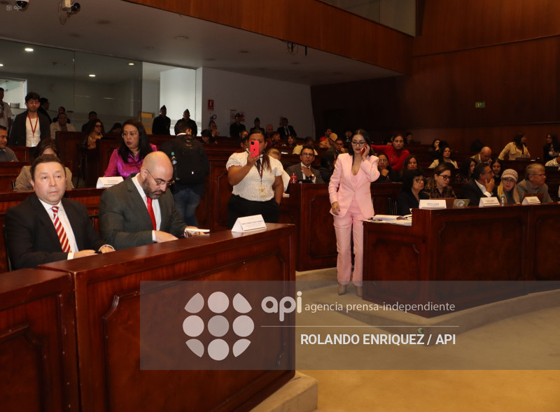 MARIO GODOY COMISION FISCALIZACION