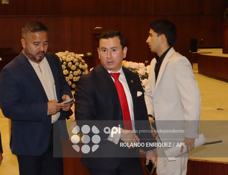 MARIO GODOY COMISION FISCALIZACION