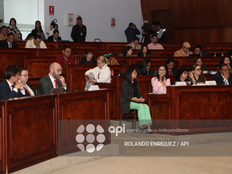 MARIO GODOY COMISION FISCALIZACION