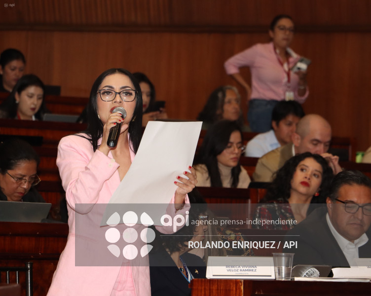 MARIO GODOY COMISION FISCALIZACION